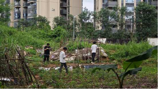 微信图片_20251107160947