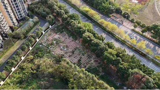 微信图片_20251107161112