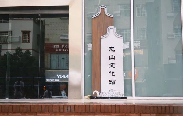 百千万工程”突击队｜盛夏共赴龙山，童心燃梦突击队来啦！！